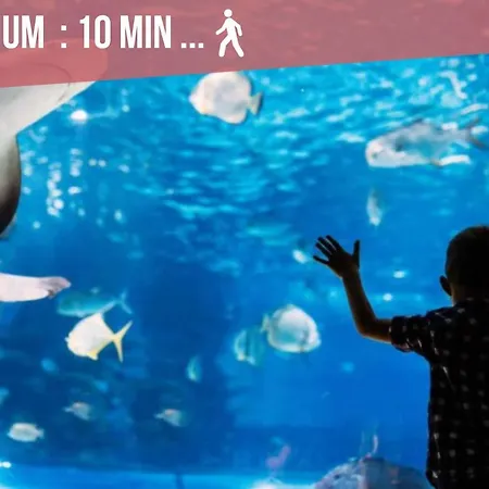 דירה ღ L'accostage • Au Coeur Du Vieux Port Et Du Centre *